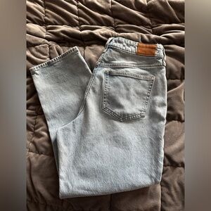 JCREW High Rise Classic *Curvy* Straight Jeans | Light Denim | size 29